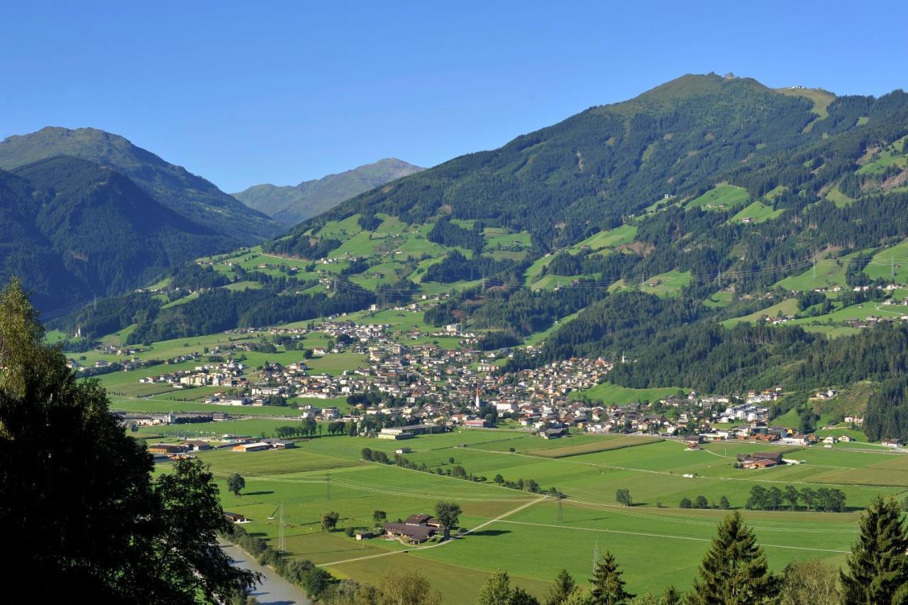 Aue Domek alpejski *